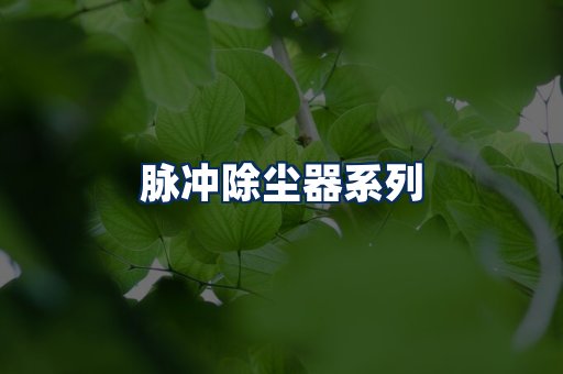 脉冲除尘器展示
