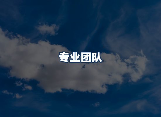 专业团队